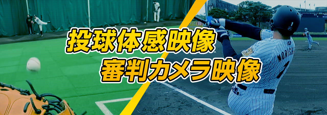 投球体感映像・審判カメラ映像