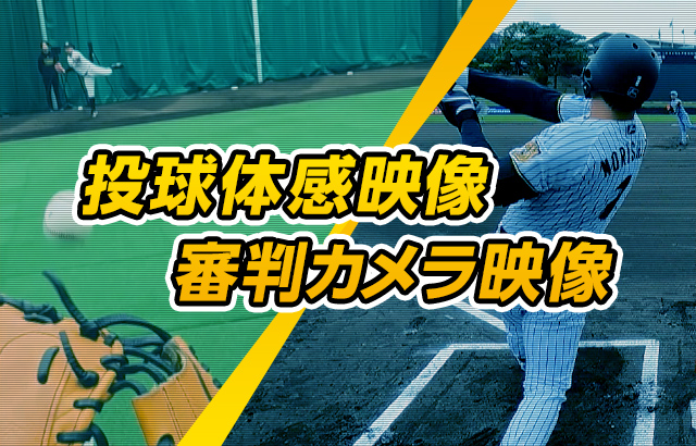 投球体感映像・審判カメラ映像